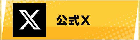  公式X